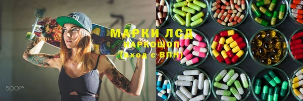 прущие грибы Вязники