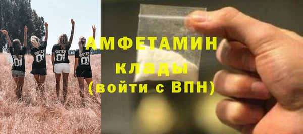 прущие грибы Вязники